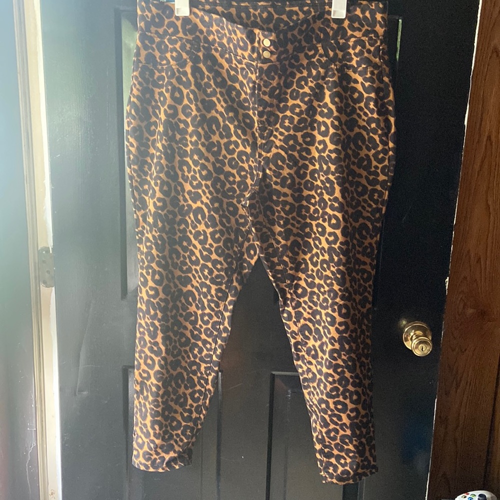 Skinny mid rise pants size 2x(20w-22w)